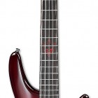 Ibanez PIB3