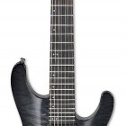 Transparent Gray Burst