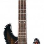 Ibanez ATK205 (2014)