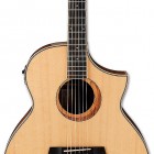 Ibanez AEW21VK