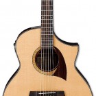 Ibanez AEW22CD