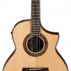 Ibanez AEW23MV