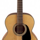 Takamine GN10