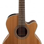 Takamine GN20CE