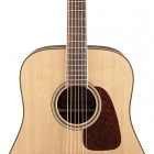 Takamine GD93