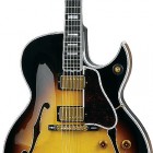 Florentine Cutaway Vintage Sunburst