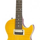 Slash AFD Les Paul Performance Pack