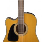 Takamine GD30CELH