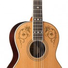 Washburn WP5234S