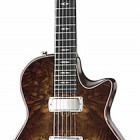 Taylor SB-C1-T Custom Walnut Tremolo