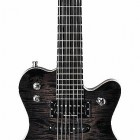 Framus Panthera Custom 7