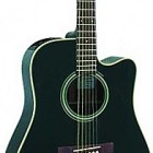 Takamine EG321C