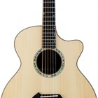 Breedlove Celtic Classic