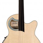 Rockbass Alien Deluxe 4 Fretless