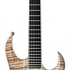 DBZ Guitars Halcyon Black Moonrise