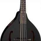 Dean Tennessee A/E Mandolin