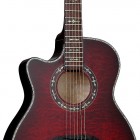 Schecter Hellraiser Studio Acoustic Left Handed