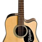 Takamine EG320C