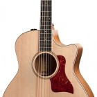 Taylor Baritone-8-FLTD/B