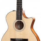 314ce-N-LTD (2012 Spring Limited Edition Hawaiian Koa Series)