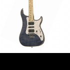 Vigier Guitars Excalibur Special Hardtail