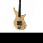 Passion IV Custom Fretless