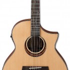 Ibanez AEW14LTD4