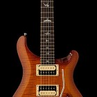 Paul Reed Smith SE Floyd Custom 24