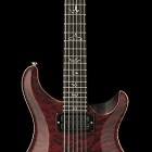 Paul Reed Smith Mark Holcomb Custom 24