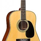 Martin D-35 Brazilian 50th Anniversary