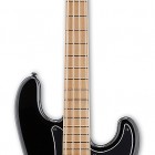 ESP GC-P4