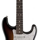 Dave Murray Stratocaster (2015)