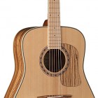 Washburn WCSD30S