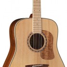 Washburn WCSD50S