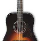 Ibanez AW4000