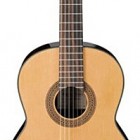 Ibanez G100