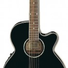 Ibanez AEG10E