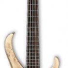 Ibanez BTB1605E (2015)