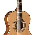 Washburn WP11SNS