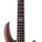 ESP B-4E