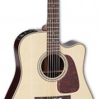 Takamine P5DC