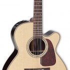 Takamine P5NC