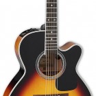 Takamine P6NC