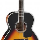 Takamine P6N