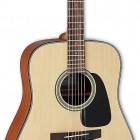 Takamine GD10