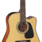 Takamine GD10CE