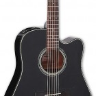 Takamine GD15CE