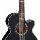 Takamine GF15CE