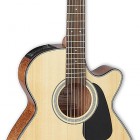 Takamine GF30CE