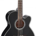 Takamine GN30CE